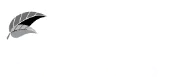 tablet-cherry-tree-yoga-min