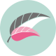 ICON-Main-min