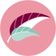 ICON-PREGNANCY-min