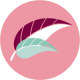ICON-PREGNANCY-min.png