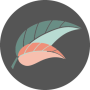 ICON-VINYASA-min