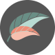 ICON-VINYASA-min